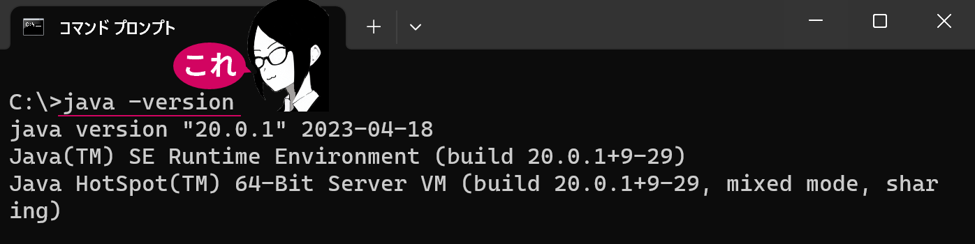 Javaのパスが通ったか確認